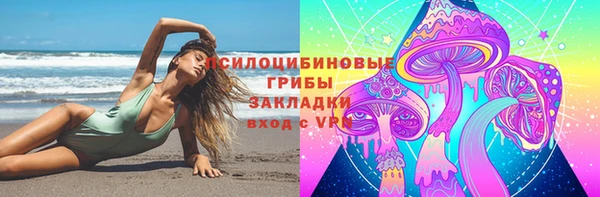 spice Аркадак