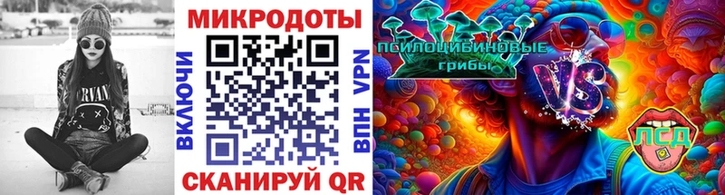 Галлюциногенные грибы GOLDEN TEACHER  магазин    Свирск 