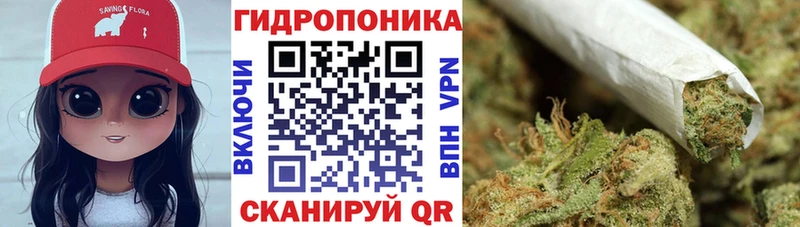 МАРИХУАНА планчик  дарк нет формула  Свирск 